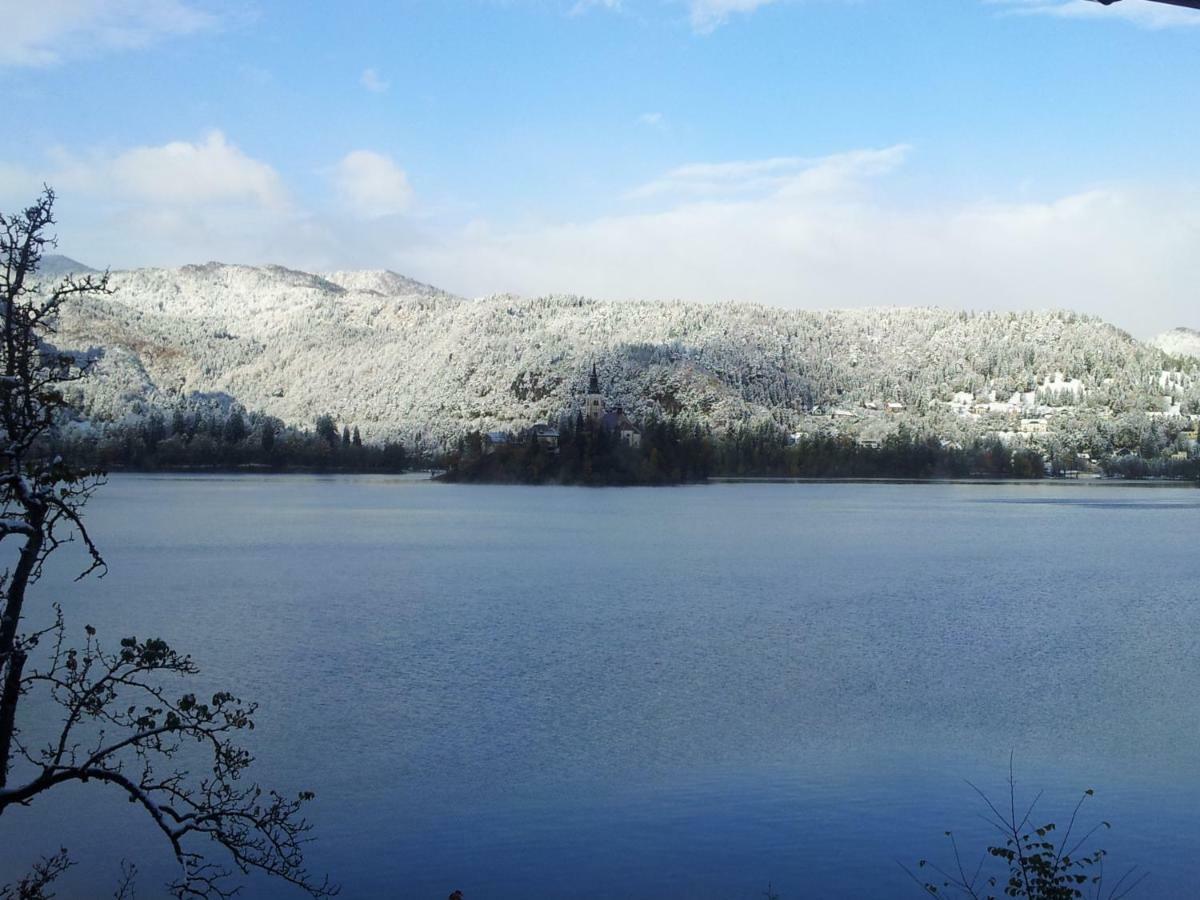 Pletna Lake View Apartment Bled Eksteriør billede